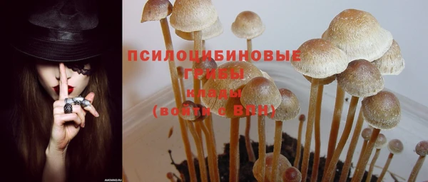 гашиш Бородино