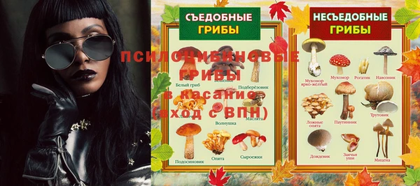 тгк Богородск