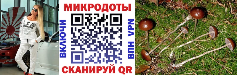 Псилоцибиновые грибы GOLDEN TEACHER  Давлеканово 