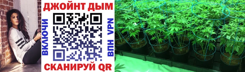 Бошки Шишки индика  OMG как войти  Давлеканово 
